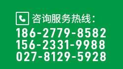 武漢風(fēng)光互補(bǔ)路燈廠(chǎng)家電話(huà)