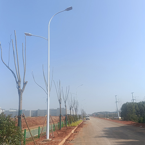 武漢市江夏區(qū)海康南路