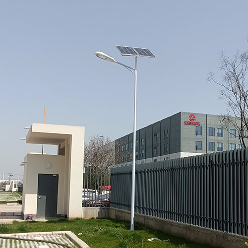 武漢市江夏區(qū)三全食品